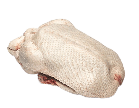 Duck 1.6kg