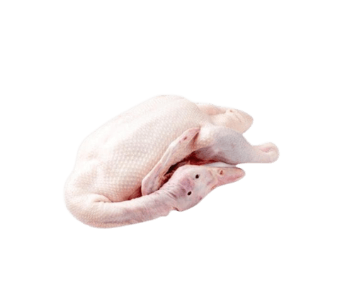 Duck 1.8kg