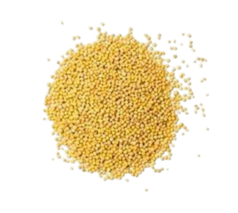 mastardsheed (yellow) 100g