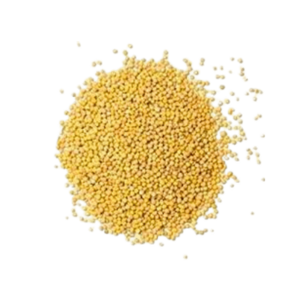 mastardsheed (yellow) 100g